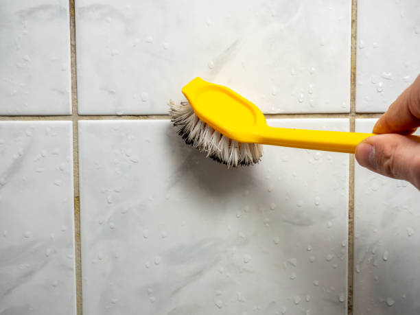 Best Mold Testing  in Jonesboro, LA